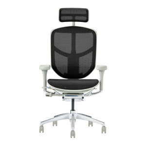 Ergohuman Enjoy2 �G���S�q���[�}�� �G���W���C2 EJ2-HAM-GF-BK �O���[�t���[��×�u���b�N���b�V�� �n�C�o�b�N