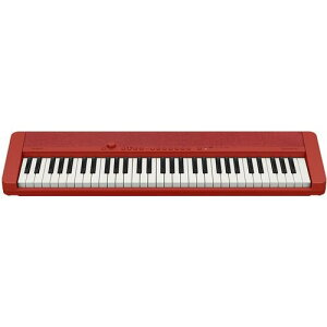 JVIvZ@ CTS1RD L[{[h Casiotine 61W bh