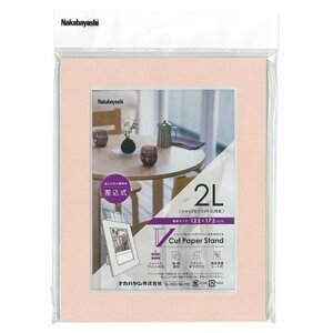 iJoV VPS-2L-P VJbgy[p[X^h  2LTCY sN