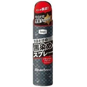 �z�[���[ �r���[�e�B�[�� �����߃X�v���[