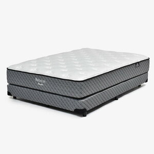 ˉƋ [VO] {gNbVREGALIA(KA) uKAS[h V FR POvrubN }bgXʔyARΉz