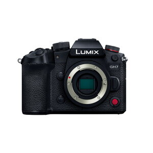 �p�i�\�j�b�N DC-GH7 GH7 �~���[���X���J���� LUMIX �u���b�N