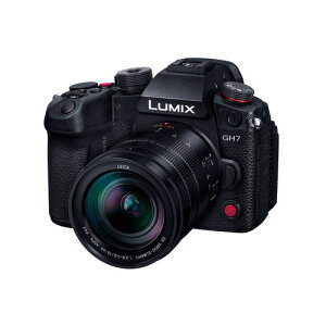 �p�i�\�j�b�N DC-GH7L GH7 �W���Y�[�������Y�L�b�g �~���[���X���J���� LUMIX �u���b�N