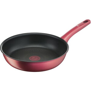 yԌzeBt@[(T-FAL) G26205 IH[WEA~ebh tCp 26cmyIHΉz