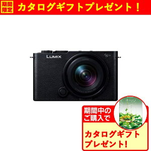 �y���Ԍ���M�t�g�v���[���g�z�p�i�\�j�b�N DC-S9N-K S9 �L�p�Y�[�������Y�L�b�g �~���[���X���J���� LUMIX �W�F�b�g�u���b�N