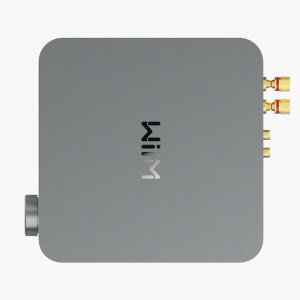 WiiM WIM-WAMP-SG ストリーマー機能内蔵アンプ グレー