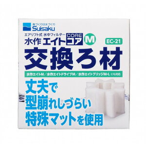  GCgRAM