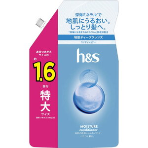 P&G h&s CX`[ RfBVi[ ߂ TCY 500g