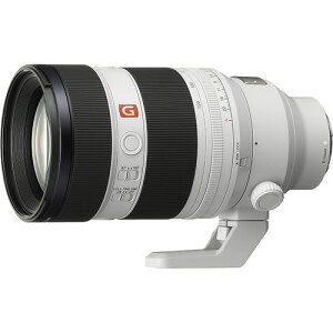 �\�j�[ SEL50150GM ����a�]���Y�[�������Y G�}�X�^�[ FE 50-150mm F2 GM E�}�E���g