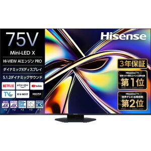 yۏ؁znCZX 75U9R 75V^ Mini LEDter 4KΉ BSECS 4K`[i[