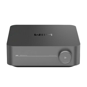 WiiM WIM-WAMPPRO-DG �A���v�����l�b�g���[�N�X�g���[�}�[