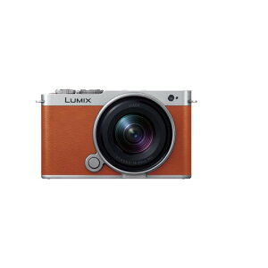 �p�i�\�j�b�N DC-S9W-D �~���[���X���J���� LUMIX S9 �L�p�Y�[�������Y �P�œ_�����Y�L�b�g �L�������I�����W