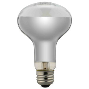 ���U���R�[�|���[�V���� RF100V90W ���t�d��100W�` �z���C�g