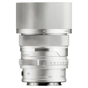 �V�O�} AF 65MM F�^2 DG (C) (SL) �����p�����Y Contemporary ���C�JL�}�E���g�p