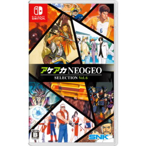 APAJNEOGEO ZNV Vol.6 ySwitchz HAC-P-BPN4A