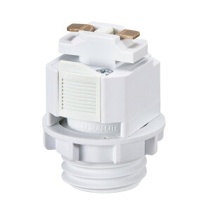 ���U�� LCE171WH �_�N�gE17�ϊ��\�P�b�g LED�d���p �z���C�g