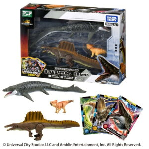 ^Jg~[ AjA WVbNE[h C̃TTEX DXZbg