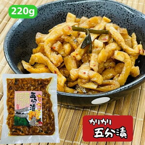 yYEܕЁE220gzԂÂEܕЂEݖE卪EЕEy؁E͂͂ЂE͂͂卪