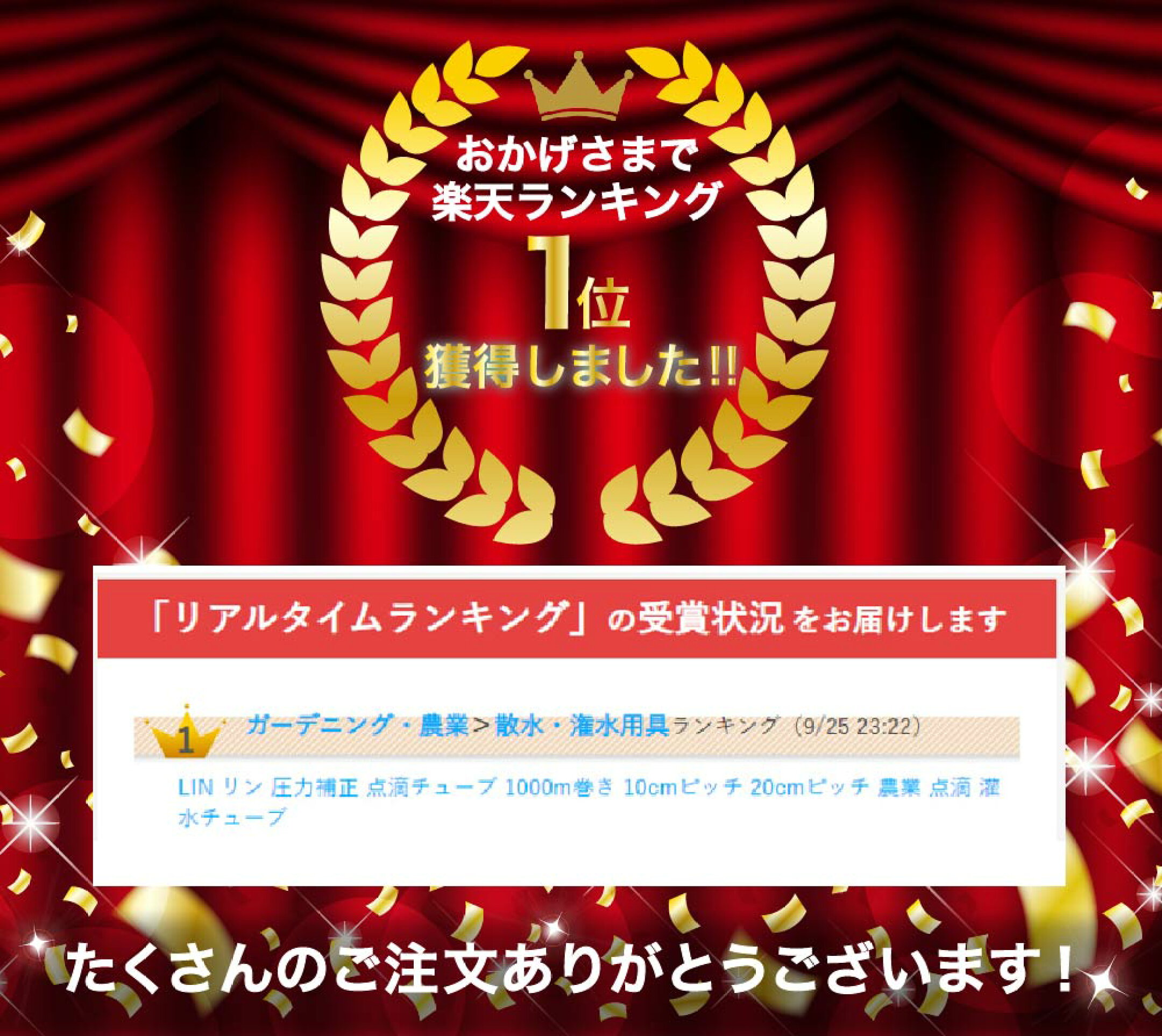ランキングLIN