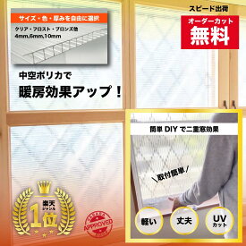 【ランキング1位複数回受賞】オーダーカット無料 中空ポリカ プラダン 4/6/10mm厚 省エネ 暖房代節約 二重窓 断熱シート 寒さ対策 保温 防寒 目隠し 結露防止 UVカット ポリカーボネート ツインカーボ 透明 フロスト ブルーグレー スノー スモーク シルバー