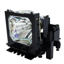 楽天市場】dt01291の通販