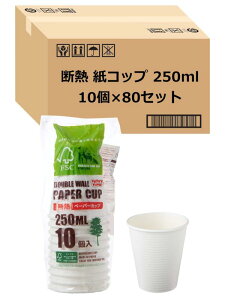 XgbNXfUC Rbv fM y[p[Jbv 10 zCg 250ml G{XH w\ zbgΉ ĝ  AEghA SD-136