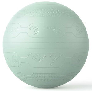 PROIRON �o�����X�{�[�� 65cm �΂�񂷂ځ[�� �g���[�j���O�K�C�h�p�^�[���t�� ���� �W���{�[�� �o�����X�{�[�� �֎q �X�|�[�c �ω׏d300KG �A���`�o�[�X�g��C����t�� (6�F)