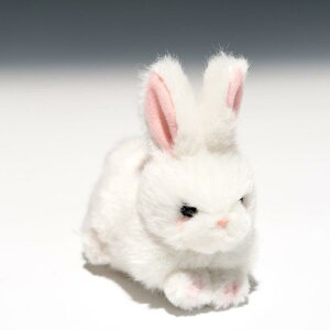 ̂ v`v` A ETM  ʂ 58432