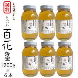 yߘa7NYzQY SԖI500gE1200gE1200g2{E1200g3{E1200g6{ Q̏ẲԖBNZ̏Ȃ