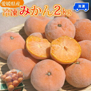 みかん 人気商品ランキング 価格 Com みかん 人気商品ランキング 価格 Com