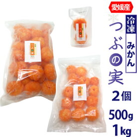 【冷凍】愛媛産 つぶの実 冷凍みかん 丸まま2個・500g・1kg