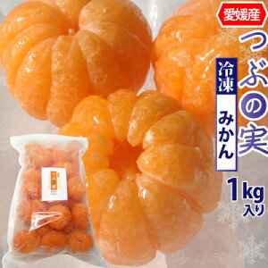 冷凍みかん みかんの人気商品 通販 価格比較 価格 Com