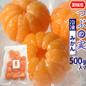【冷凍】愛媛産 つぶの実 冷凍みかん 丸まま2個・500g・1kg