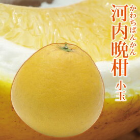 愛媛産 小玉 河内晩柑 5kg・10kg・20kg 送料無料 柑橘 柑橘類 みかん フルーツ