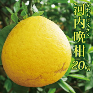 ���Q���Y �͓��ӊ� 2kg �E5kg �E 10kg �������� ���k ���k�� �݂��� �t���[�c �M�t�g