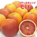 愛媛県産 家庭用 モロ 2kg・3kg・5kg・10kg （ブラッドオレンジ） 送料無料 柑橘 みかん フルーツ