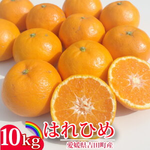 y\12㔼zQY͂Ђ 3kgE5kgE10kgE20kg Mtg Ε p ɂǂ