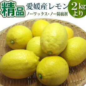 愛媛県産レモン2kg・3kg・5kg・10kg 精品　国産・ノーワックス・ポストハーベスト不使用