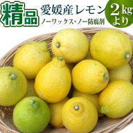 愛媛県産レモン2kg・3kg・5kg・10kg 精品　国産・ノーワックス・ポストハーベスト不使用