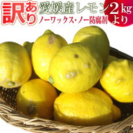 愛媛県産 訳ありレモン2kg・5kg・10kg　国産・ノーワックス・ポストハーベスト不使用