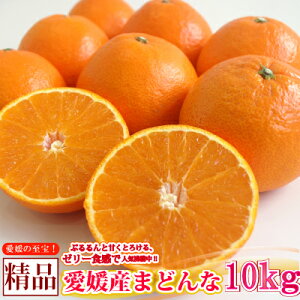 y\z QY܂ǂ2.5kgE4kgE5kgE7kgE10kg@Qʎ28