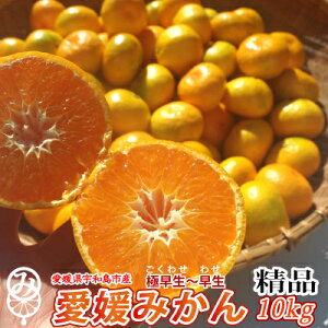 Q݂ 2kgE3kgE5kgE10kgE20kg iiM`2LTCYj