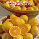 【入荷待ち】愛媛県産 小玉 愛媛みかん2kg・3kg・5kg・10kg 送料無料 柑橘 フルーツ