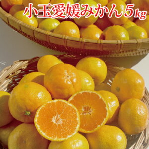 QY  Q݂ 5kgE10kg  k t[c