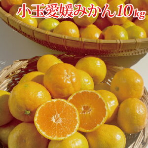 QY  Q݂2kgE3kgE5kgE10kg  k t[c