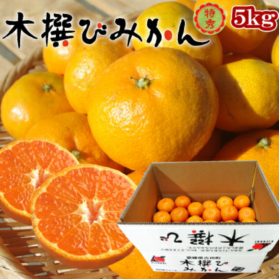 楽天市場 愛媛きなはいや楽天市場店 ミカン30品種以上取り揃えています 愛媛専門 きなはいや楽天市場店 トップページ