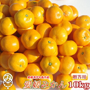 QY Q݂5kgE7kgE10kg^TCYiM܂Lj