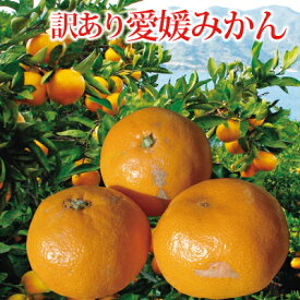 愛媛県産 訳あり 愛媛みかん2kg・3kg・5kg・10kg 送料無料 柑橘 フルーツ