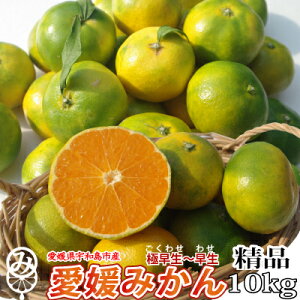 【極早生】愛媛みかん 2kg・3kg・5kg・10kg・20kg 精品(M〜2Lサイズ混合)