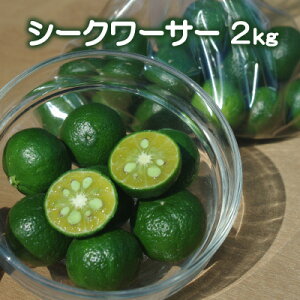 ご予約【11月中旬頃発送予定】愛媛県産 シークヮーサー 500g ・ 2kg 送料無料 柑橘 みかん フルーツ 果実